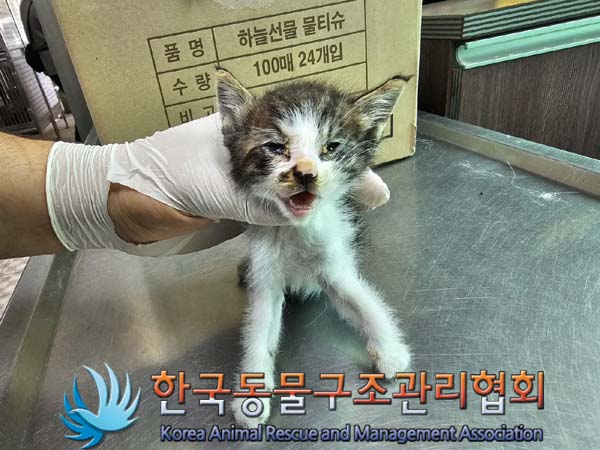 종료(자연사) 한국…